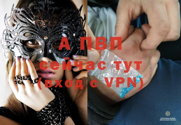 кокс Белокуриха