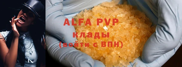 кокс Белокуриха