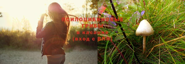 кокс Белокуриха