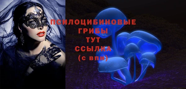 кокс Белокуриха